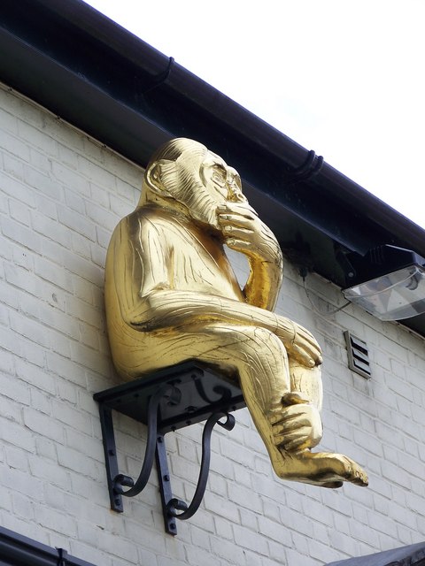 Brass monkey pub sign (photo taken by Trish Steel)